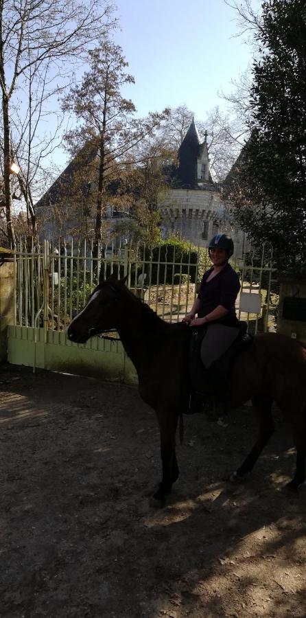 Chambre D'Hote En Vallee Du Loir - Elevage Des Rosiers Bazouges-sur-le-Loir Zewnętrze zdjęcie