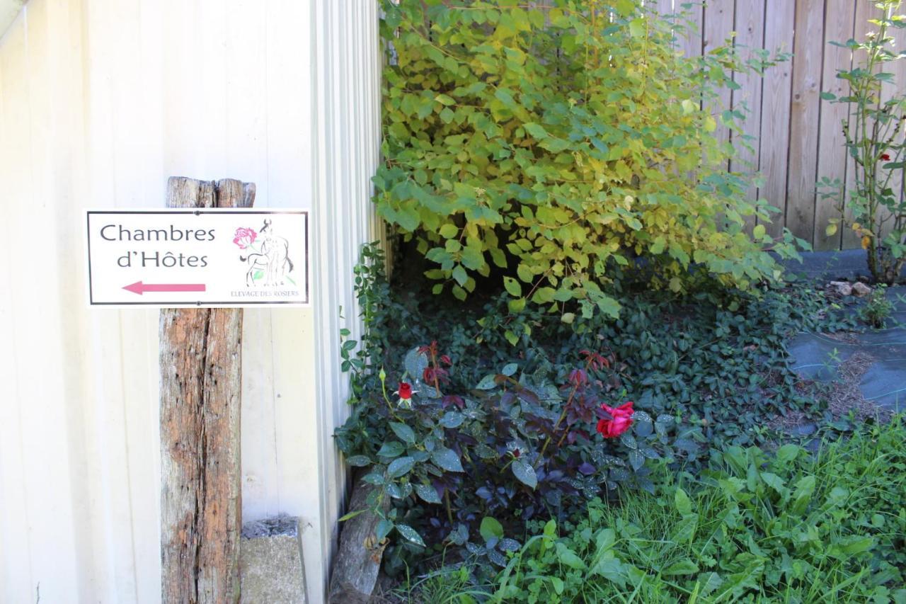 Chambre D'Hote En Vallee Du Loir - Elevage Des Rosiers Bazouges-sur-le-Loir Zewnętrze zdjęcie