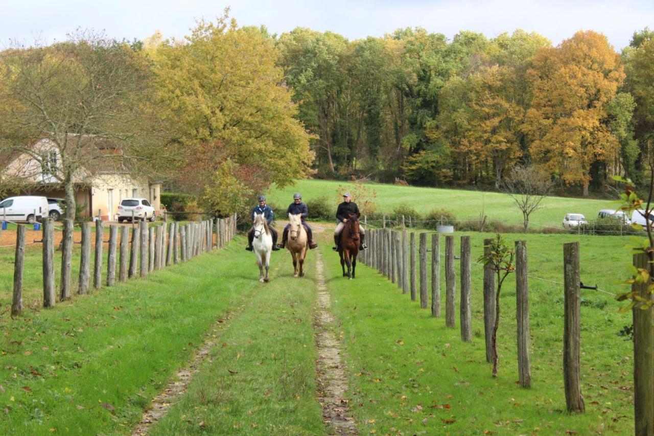 Chambre D'Hote En Vallee Du Loir - Elevage Des Rosiers Bazouges-sur-le-Loir Zewnętrze zdjęcie
