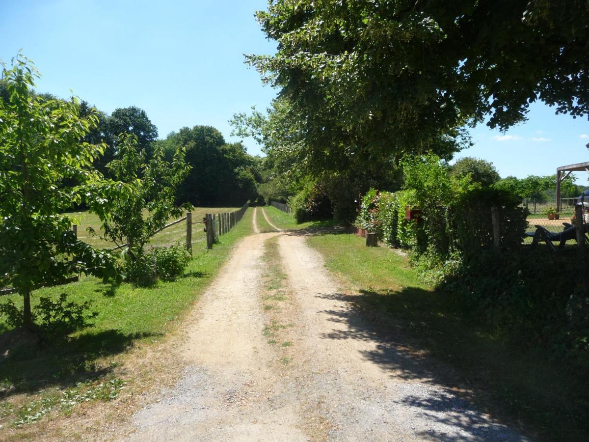 Chambre D'Hote En Vallee Du Loir - Elevage Des Rosiers Bazouges-sur-le-Loir Zewnętrze zdjęcie